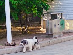 -哈尔滨文化公园