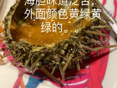 -阳光岛·海鲜盛宴(银泰中心in99店)