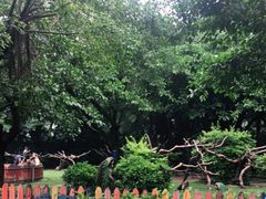 -广州长隆飞鸟乐园