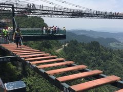 -梦幻奥陶纪景区