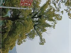 -台州府城(东湖)