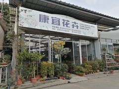-金科花卉市场