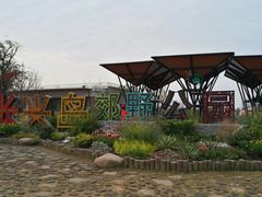 -上海长兴岛郊野公园