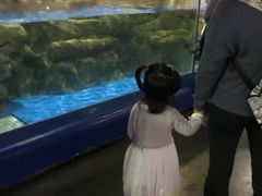 -欢乐海岸海洋奇梦馆