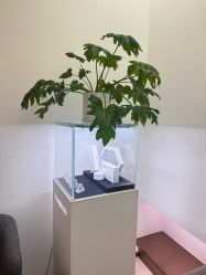 -Dr.U博士医疗美容医院