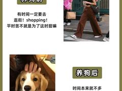 -美联众合爱康动物医院•复杂内科•肿瘤科•牙科•腔镜诊疗中心