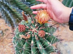 -中国科学院华南植物园