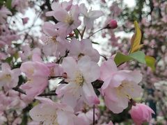 -洋湖国家湿地公园