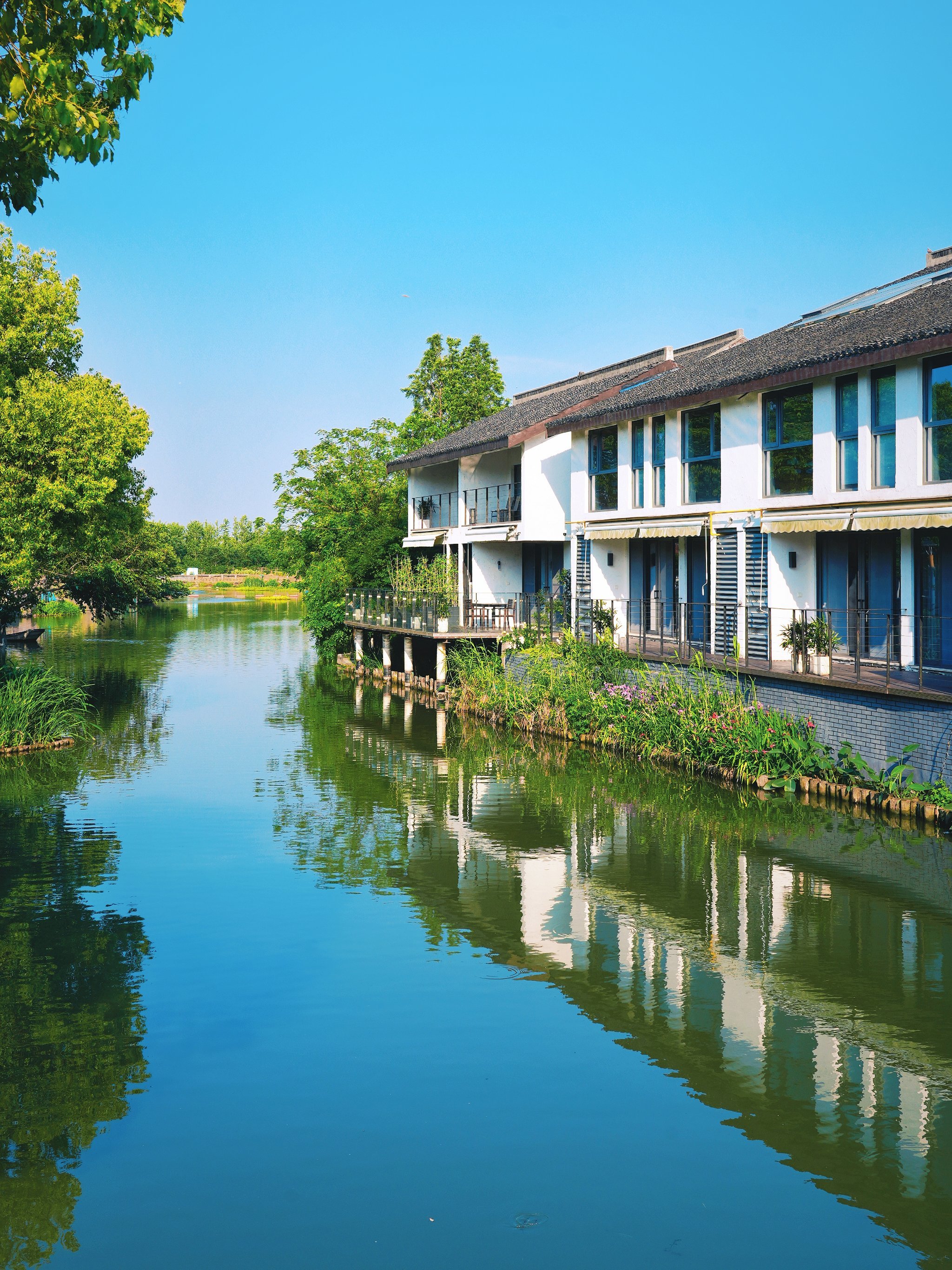 在昆山计家墩闯入梦幻理想村