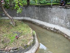 -野象谷景区