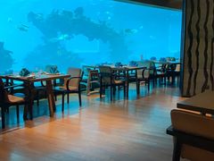 -海棠湾洲际-涛·海底餐厅·美人鱼·自助餐·海底隧道