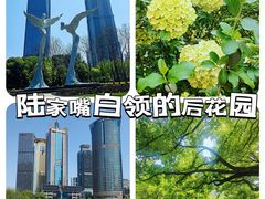 -陆家嘴中心绿地