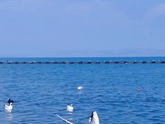 -海埂大坝