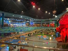 -青岛嘉年华主题乐园