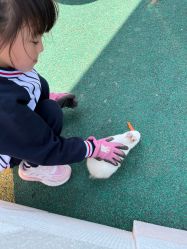 点击看大图 -季高兔窝窝亲子园(上海薰衣草公园店)