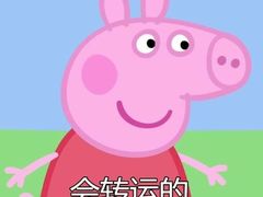 -OMG星都里