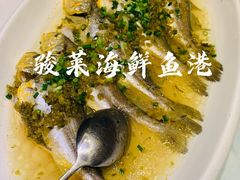 -骏莱海鲜鱼港(五角场店)