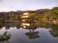 -翼丰日语·日本留学·移民服务中心(宝安校区)