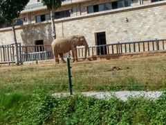 -石家庄市动物园