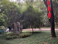 -东湖落雁景区