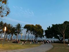 -深圳湾公园(南山区)