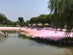 -上海杨姆庄园