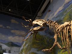 -自贡恐龙博物馆