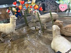 -上海大自然野生昆虫馆(东方明珠·爬宠昆虫探索中心)