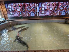 -胖姐渔村(中源大道店)