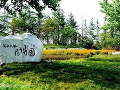 -药王庙(安国市)