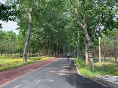 -东郊湿地公园