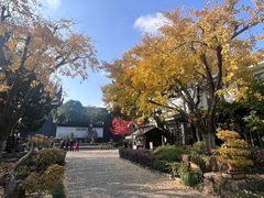 -东山雕花楼