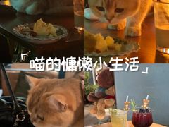 -咖法森林·咖啡  酒吧(天河店)