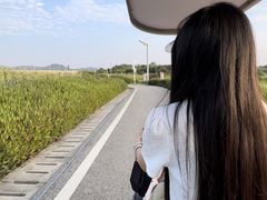 -光明小镇欢乐田园
