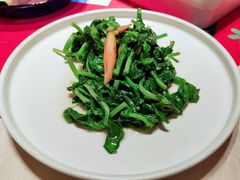 清炒豌豆尖-106餐厅(山水文园店)