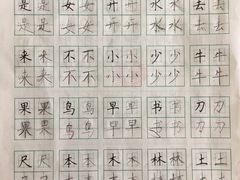 -赵汝飞练字硬笔书法(博泰国际校区)