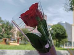 -海底捞火锅(方圆荟店)