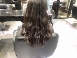 -风向标WIND VANE SALON