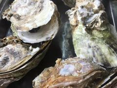-蚝得喜海鲜(东城店)