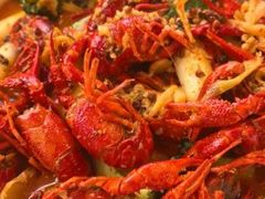 -京悦南门涮羊肉·羊蝎子火锅(田林路店)