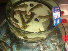 -强记海鲜·大排档(蛇口新街店)
