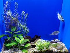 -上海海洋水族馆