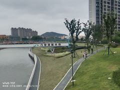 -九里河湿地公园