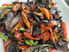 -蘑统田下·野生菌火锅