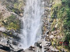 -鼎湖山风景区