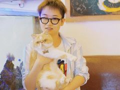 大堂-喵园·猫主题咖啡厅·撸猫·猫咖(国贸店)