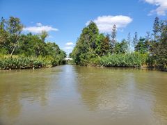 -上海长兴岛郊野公园