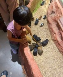 -Zoolung Zoolung动物主题公园(海信广场店)