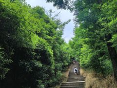-凤栖山