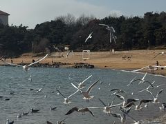 -青岛第二海水浴场